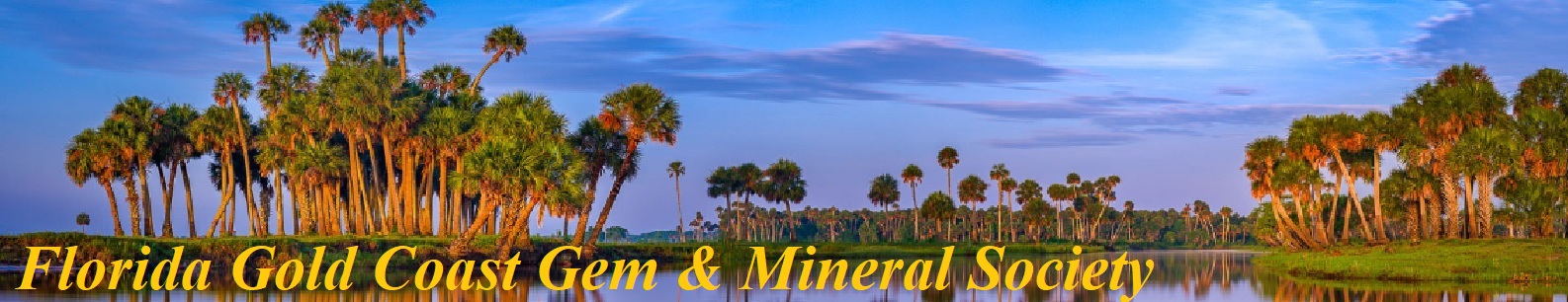 FLPalmTrees